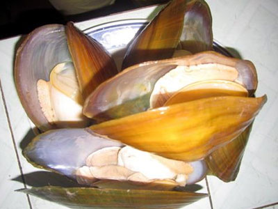 Ảnh bìa bài viết 293656