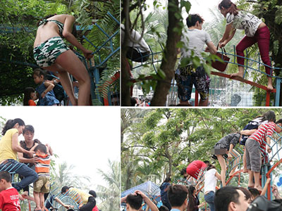 Ảnh bìa bài viết 293715