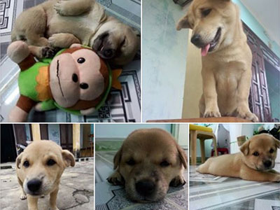 Ảnh bìa bài viết 294176
