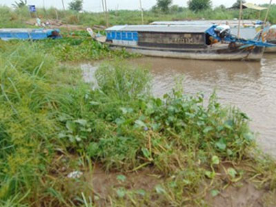 Ảnh bìa bài viết 294246
