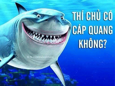 Ảnh bìa bài viết 294523