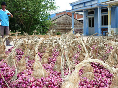 Ảnh bìa bài viết 294373