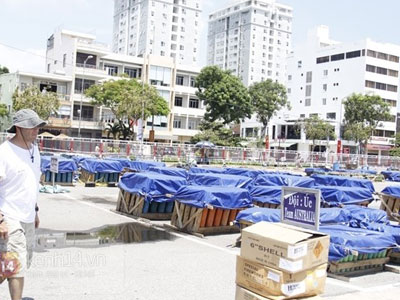 Ảnh bìa bài viết 294876