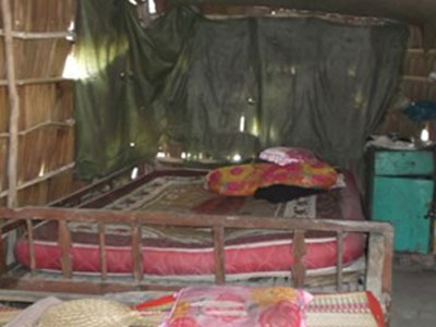 Ảnh bìa bài viết 294960