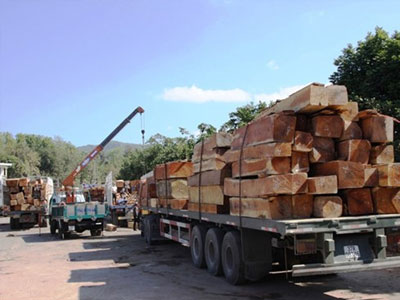Ảnh bìa bài viết 297293