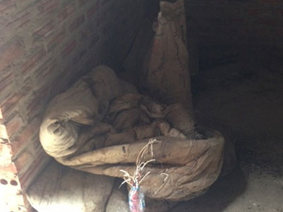 Ảnh bìa bài viết 297233