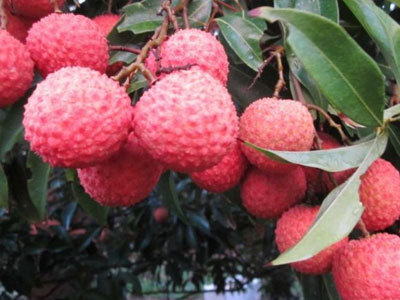 Ảnh bìa bài viết 297613