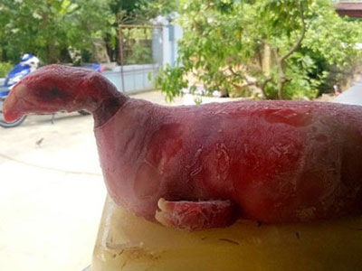 Ảnh bìa bài viết 299248