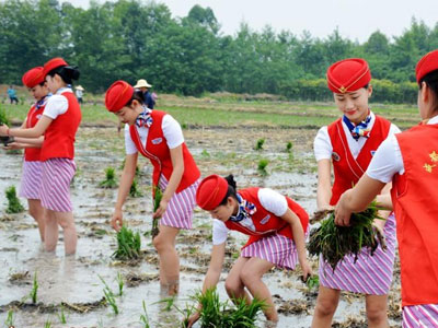 Ảnh bìa bài viết 299802