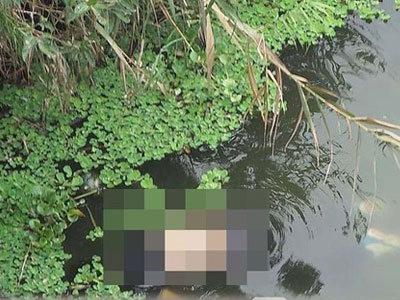 Ảnh bìa bài viết 300354