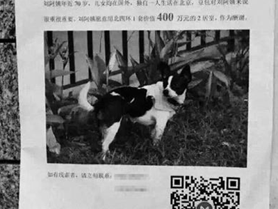 Ảnh bìa bài viết 300596