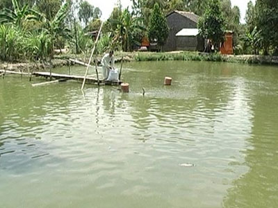 Ảnh bìa bài viết 300906