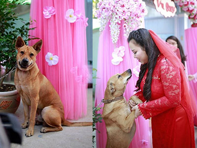 Ảnh bìa bài viết 300860