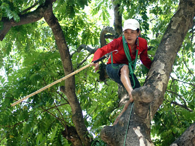 Ảnh bìa bài viết 300847