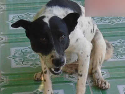 Ảnh bìa bài viết 301493