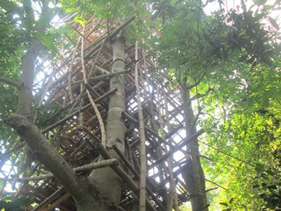 Ảnh bìa bài viết 301727