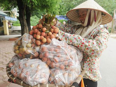 Ảnh bìa bài viết 302272