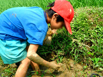 Ảnh bìa bài viết 302384