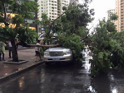 Ảnh bìa bài viết 302478