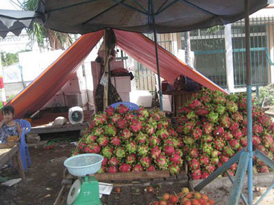 Ảnh bìa bài viết 302598