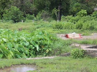 Ảnh bìa bài viết 303133