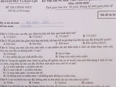 Ảnh bìa bài viết 305881