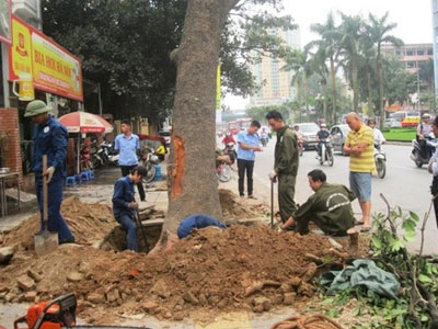 Ảnh bìa bài viết 306569