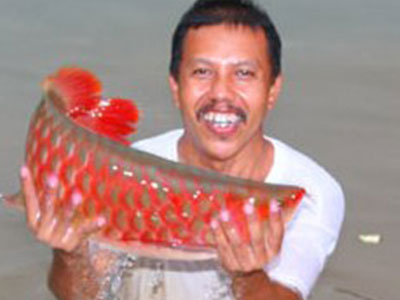 Ảnh bìa bài viết 306785