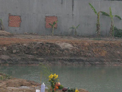 Ảnh bìa bài viết 306780