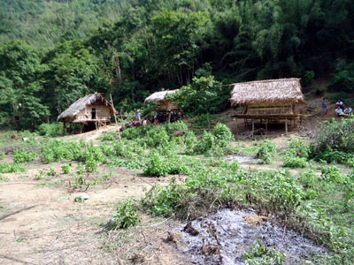Ảnh bìa bài viết 307124