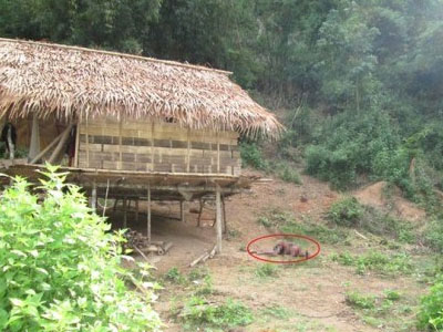 Ảnh bìa bài viết 307346