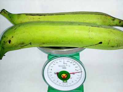 Ảnh bìa bài viết 307323