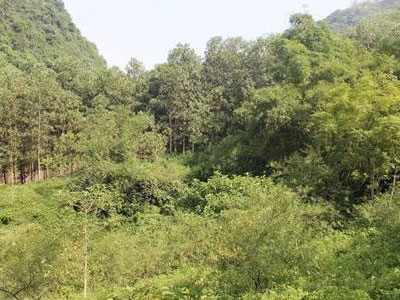 Ảnh bìa bài viết 307679