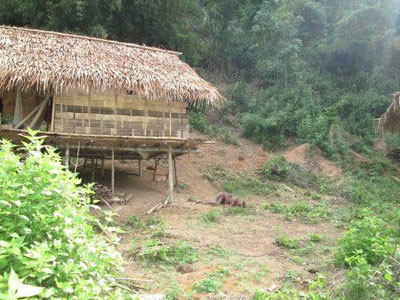 Ảnh bìa bài viết 308066