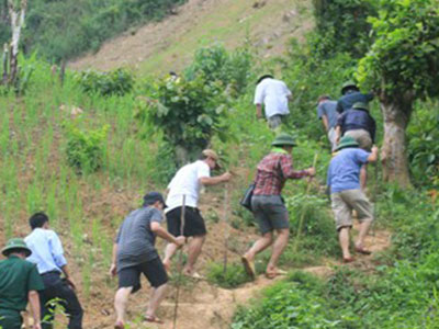 Ảnh bìa bài viết 308115