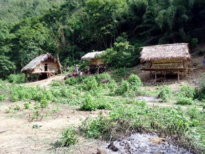 Ảnh bìa bài viết 308490