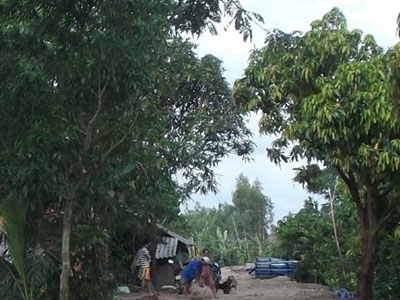 Ảnh bìa bài viết 308695