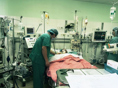 Ảnh bìa bài viết 309381