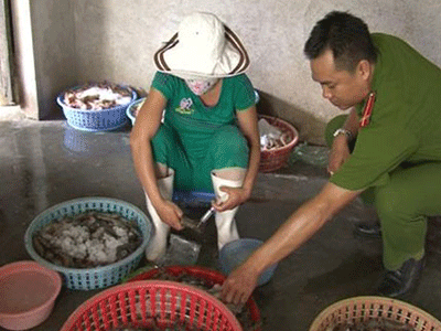 Ảnh bìa bài viết 309428
