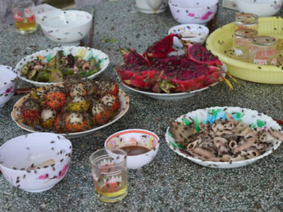 Ảnh bìa bài viết 309552