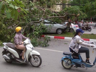 Ảnh bìa bài viết 309729