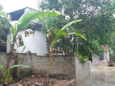 Ảnh bìa bài viết 309728