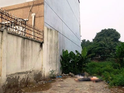Ảnh bìa bài viết 309835
