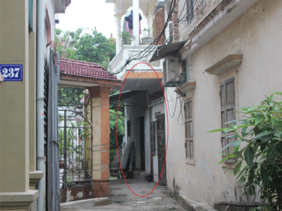 Ảnh bìa bài viết 310553