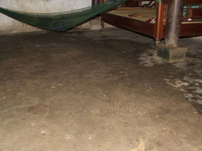 Ảnh bìa bài viết 310847