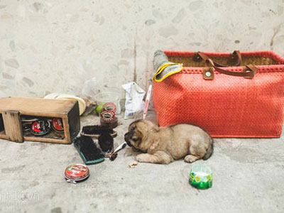Ảnh bìa bài viết 312086