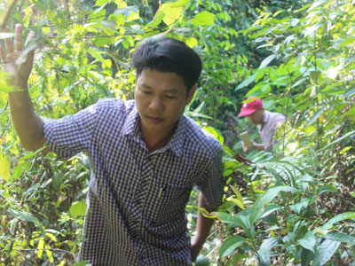Ảnh bìa bài viết 312061