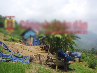 Ảnh bìa bài viết 312430