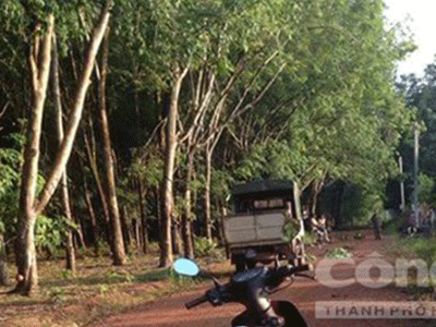 Ảnh bìa bài viết 313548