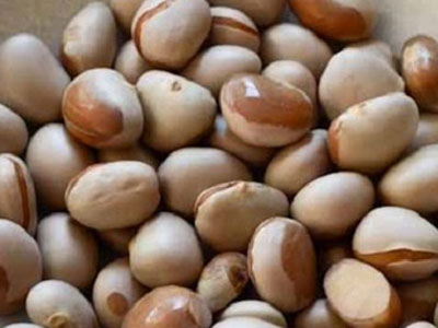 Ảnh bìa bài viết 313791